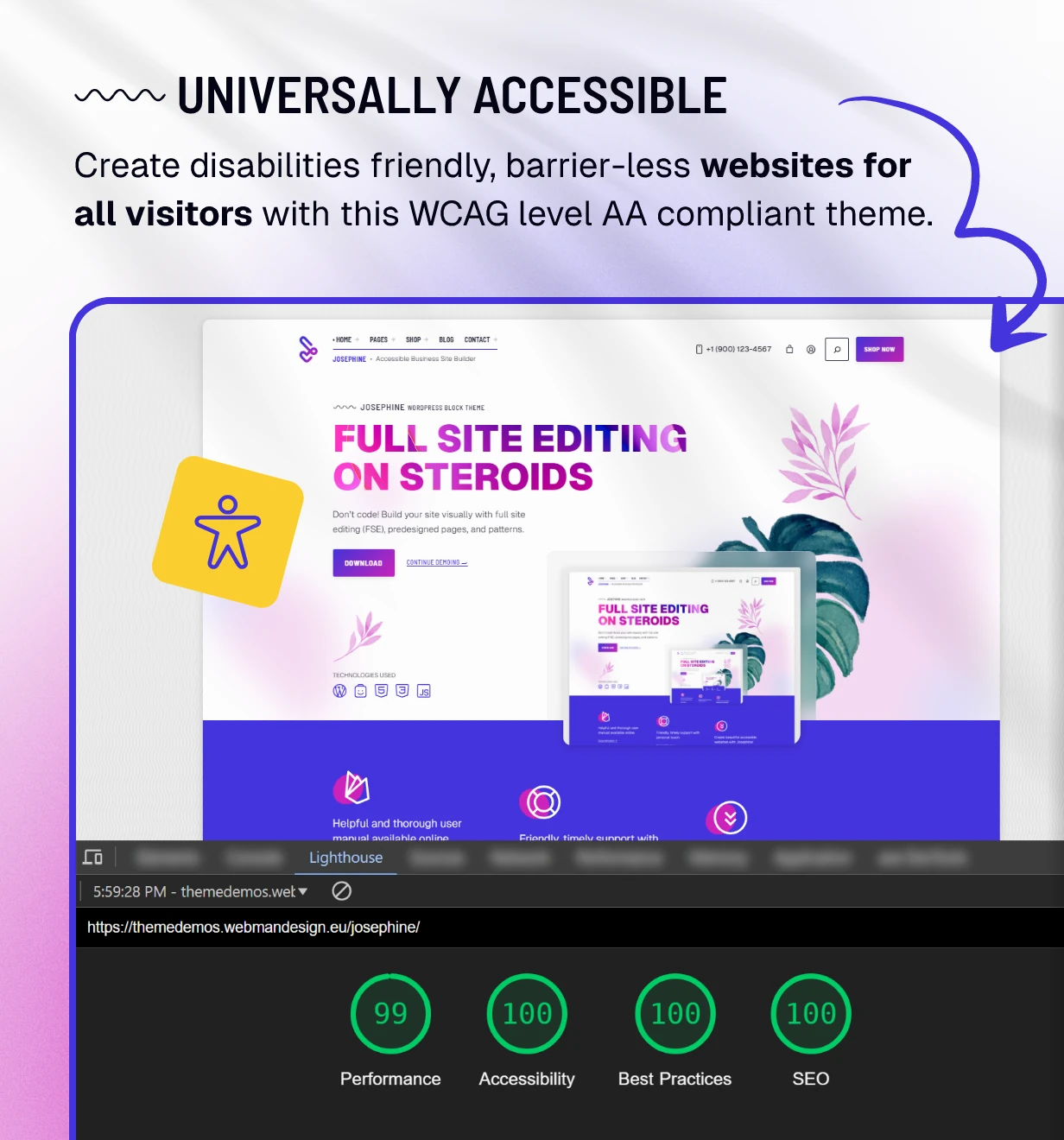 Josephine WordPress theme accessibility